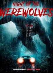 ���� ��������� (2025)