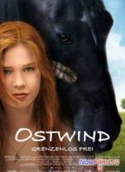 ��������� ����� (2013)