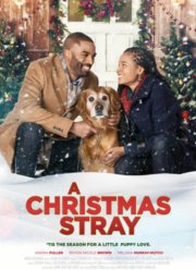 �������������� ��������� (2021)