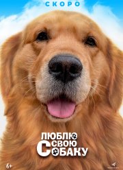 ����� ���� ������ (2023)