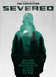 ���������� ����� (2025)