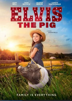 ������ ����� (2022)