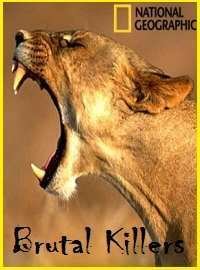 National Geographic: �������� ������ 2011