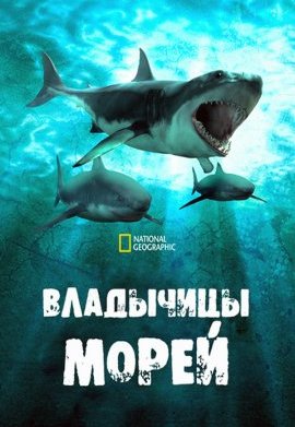 ��������� ����� (2022)