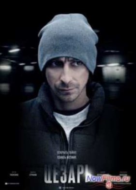 ������ (2013)