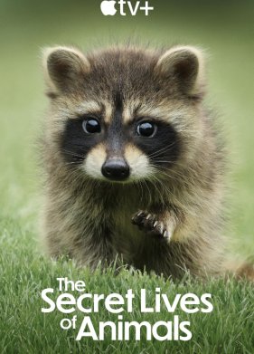 ������ ����� �������� (2024)