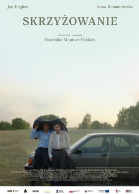 ����������� (2024)