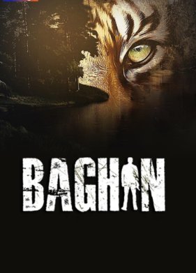 ����� (2024)