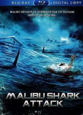 ����� ������ (2009)