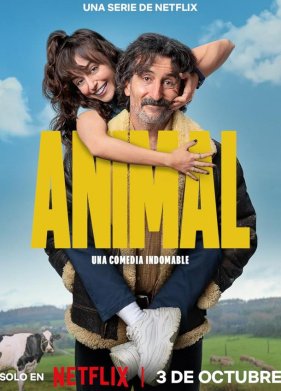 ������ ���, ����� ����� (2025)