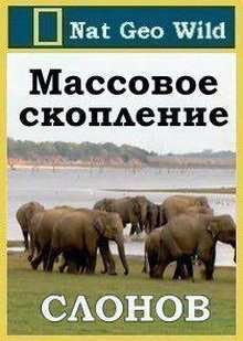 �������� ��������� ������ (2011)