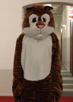 ������ (2020)