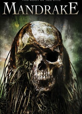 ��-��� ����� (2010)