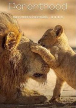 ������������ (2025)