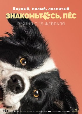 �����������, �� (2022)