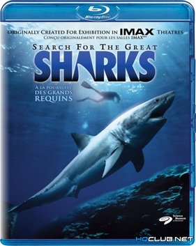 �������� � ������� ������� ���� (1995) ������