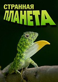 �������� ������� (2024)