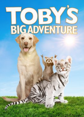 ������� ����������� ���� (2020)