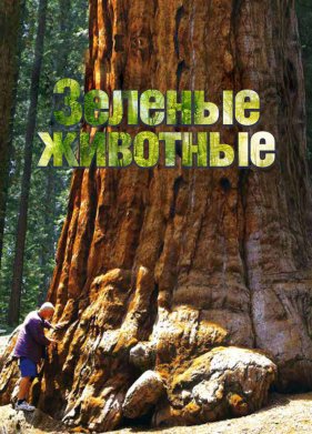 ������ �������� (2015)