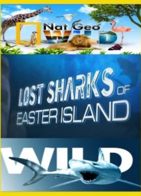 ���������� ����� ������� ����� (2011)