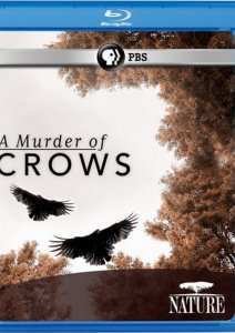 ������� ���� (2010)