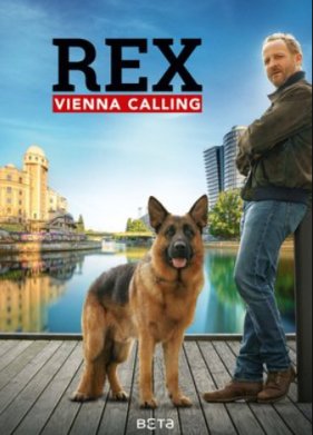 �������� ����: ���������� (2026)