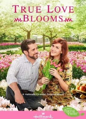 ����� ���������� ������ (2019)