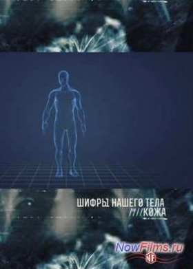 ����� ������ ����. ���� (2013)