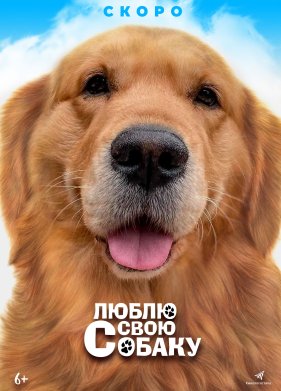 ����� ���� ������ (2023)