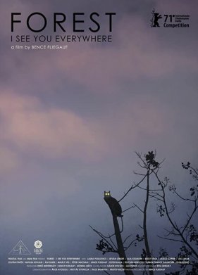 ���: ���� ���� ������� (2021)