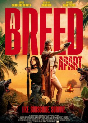 ������ ������ (2025)