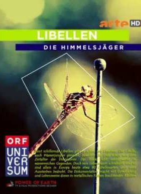 �������� ��������. ��� ������� (2010)