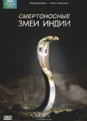 BBC: ����� ���. ������������ ���� ����� (2011)