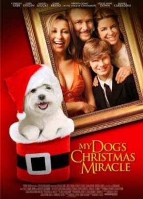 ����-�� (2011)