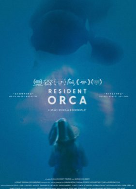 ����������� ������� (2025)