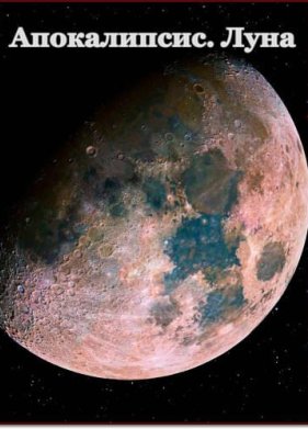 �����������. ���� (2012)