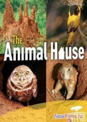 PBS: ������� - ��� �������� (2011)