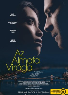 ������ ������ (2023)