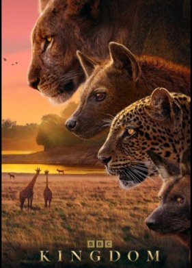 ������� �������� (2025)