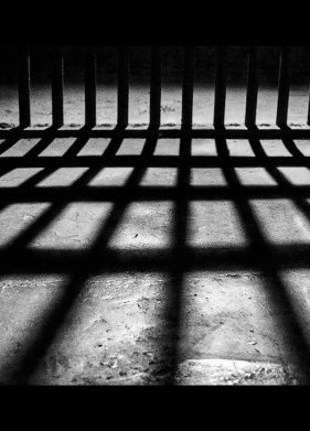 ������ ����� (2023)