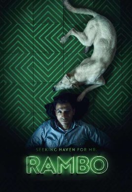 � ������� ������� ��� ������� ����� (2024)