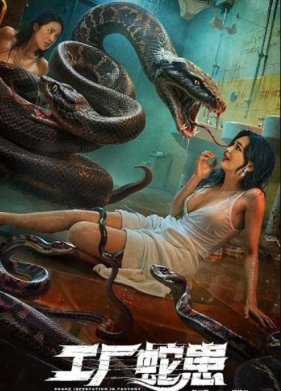 ��������� ����������� ���� (2025)