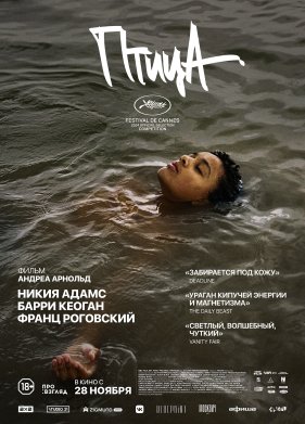 ����� (2024)