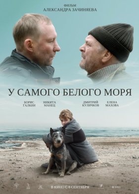 � ������ ������ ���� (2022)