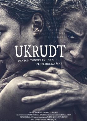 ������� ����� (2024)