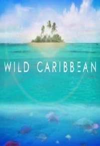 BBC: ����� ������� ��������� ��������. ������� �������� (2007)