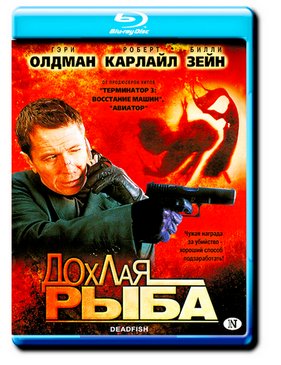 ������ ���� (2004)