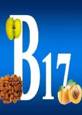 ��� ��� ���� � ������� �17 (2010)