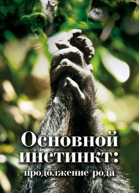 �������� ��������. ����������� ���� (2021)