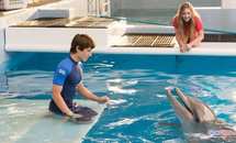 Самые ожидаемые фильмы сентября 2014 года. Самые ожидаемые фильмы сентября 2014 года.